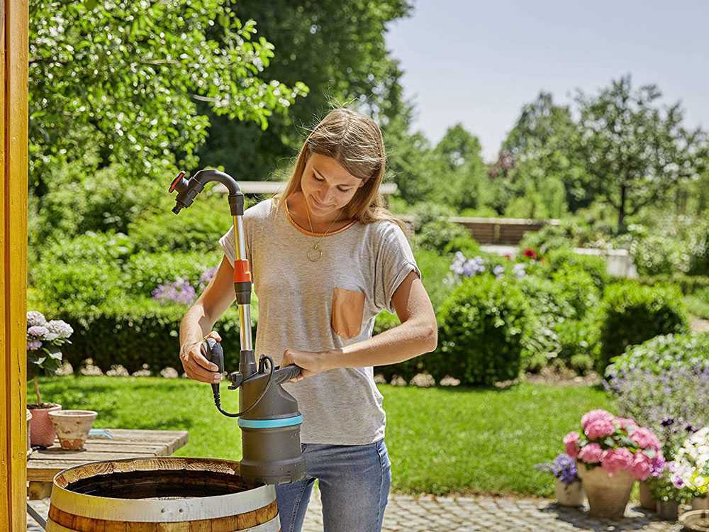 Les avantages et les inconvénients des meilleures marques de pompes à eau pour votre jardin et votre système de relevage